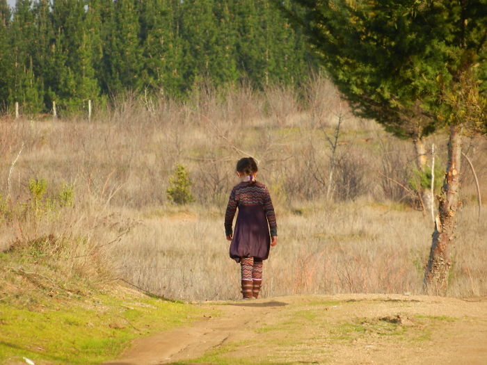 Chile, Octava Región