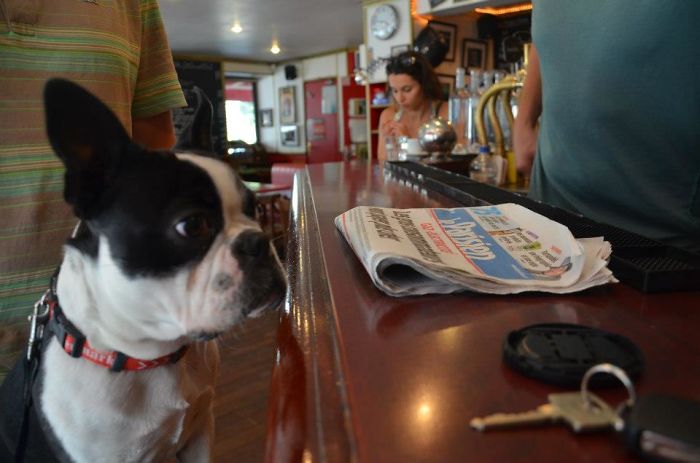 Aksel At The Bar Reading Le Parisien