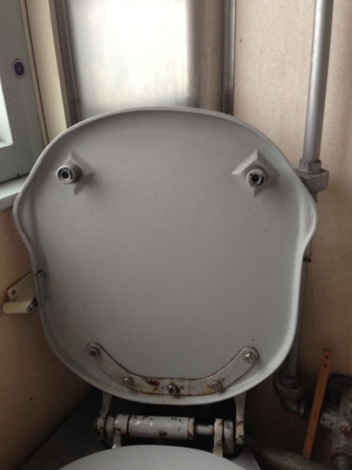 Transsiberian Toilet Guard