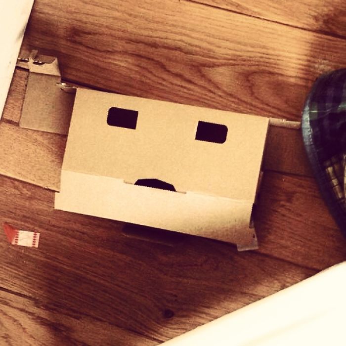 A Dismayed Little Box!