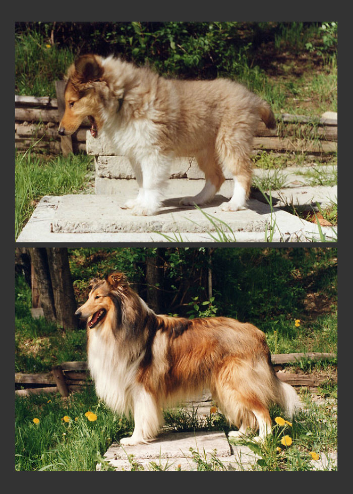 On A Pedestal... And 4 Years Later