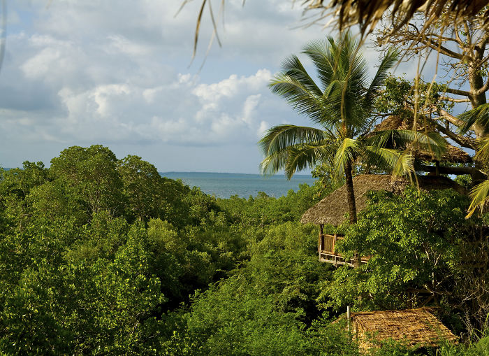 Chole Mjini Tree House Lodge, Mafia Island, Tanzania