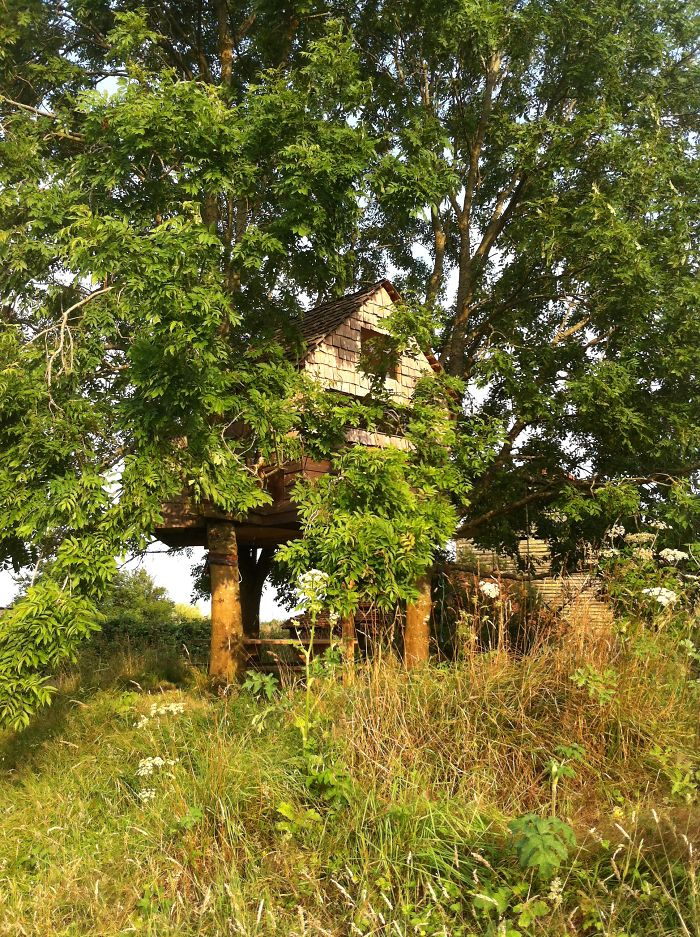 Jolph & Luca's Treehouse In Sussex