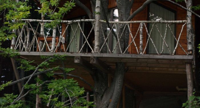 Treehouse 1 In Predeal, Romania