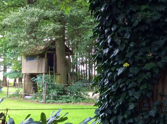 Treehouse In Our Garden Groszenging Germany