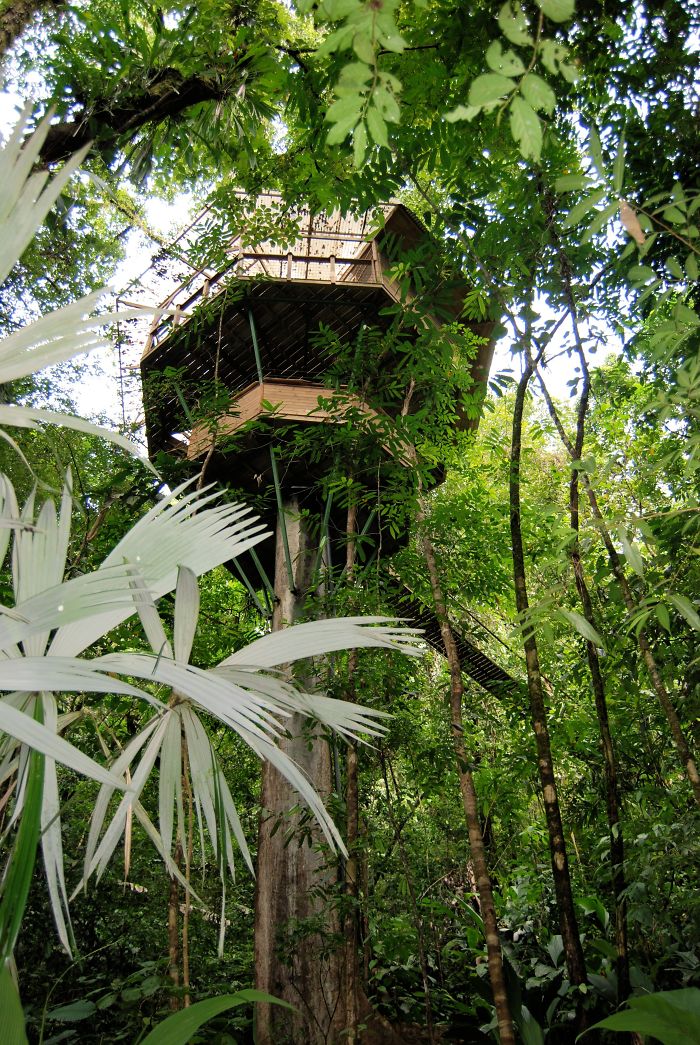 El Castillo Mastate At Finca Bellavista, Costa Rica