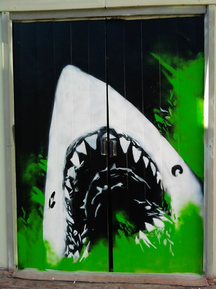 Shark Graffiti