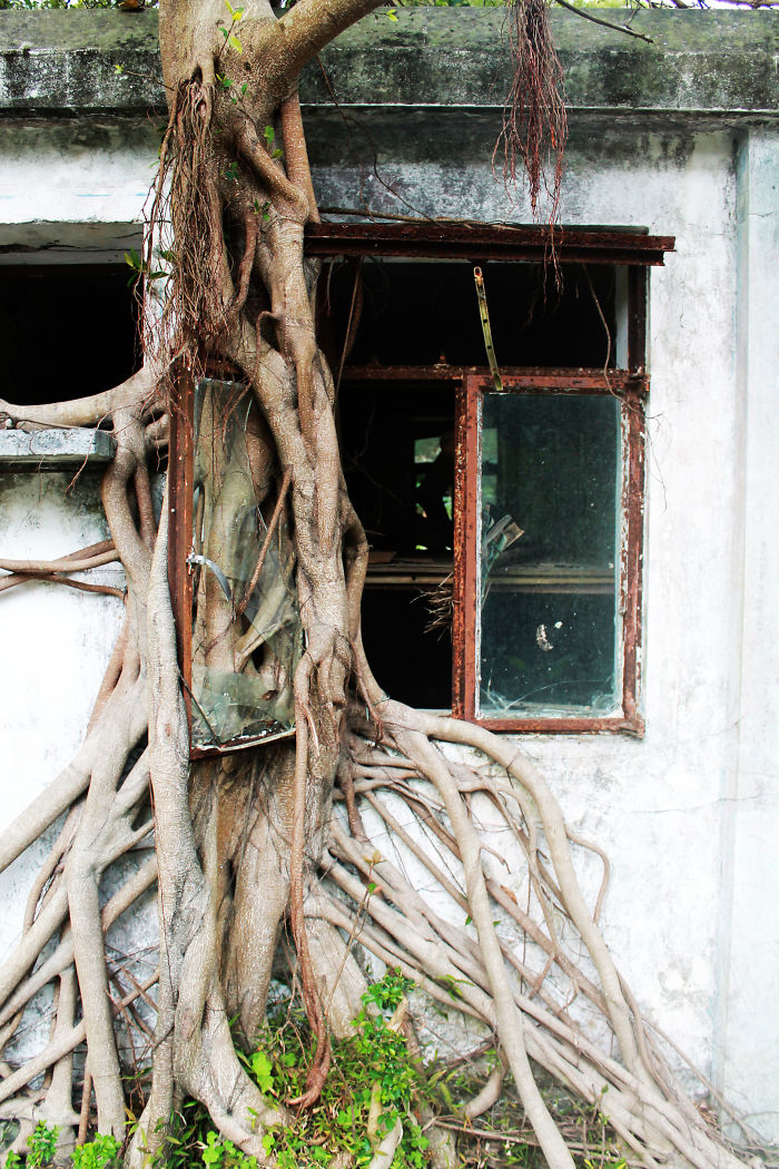 Survival Of The Fittest