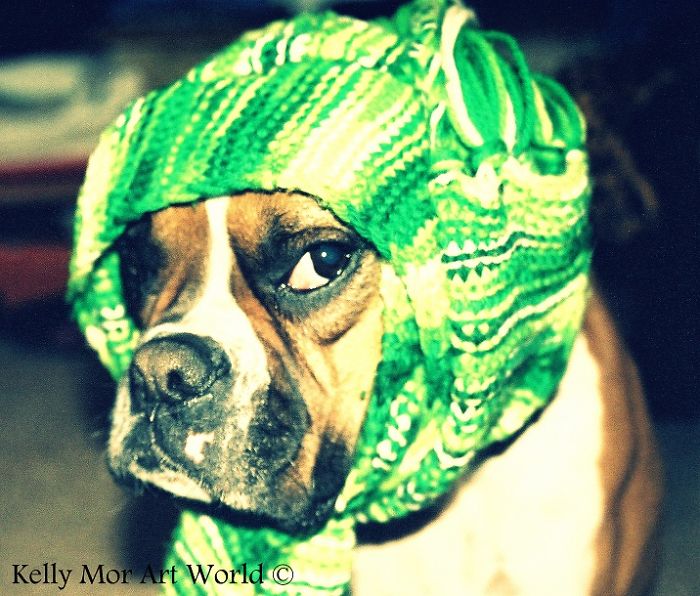 Mocha - Smiling Eyes