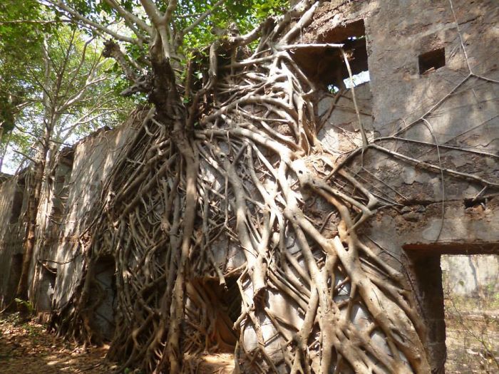 Redi Fort, Maharashtra, India