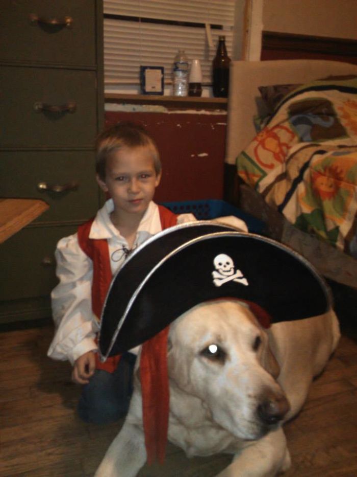 160lb Lab And His Human