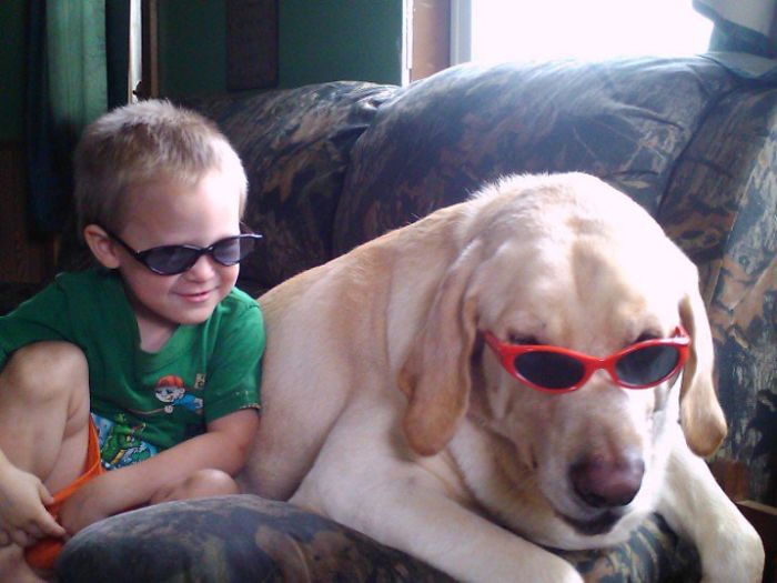 160lb Lab And His Human 2