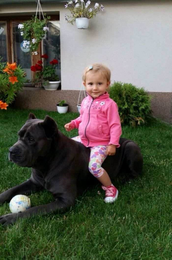 She Wanted A Pony :)