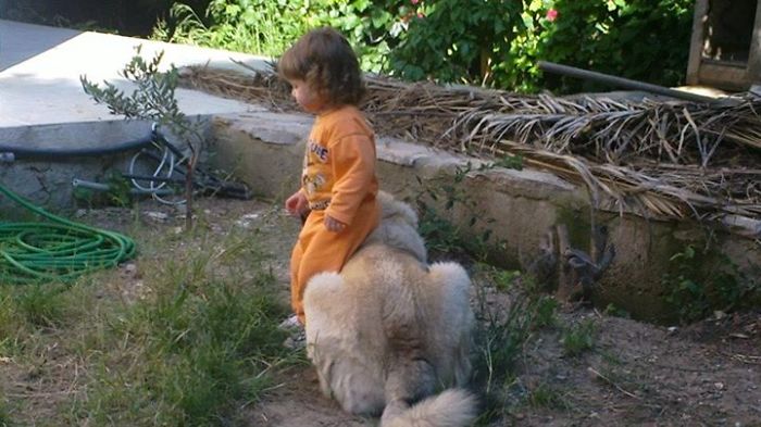 Heidi With Her Best Friends