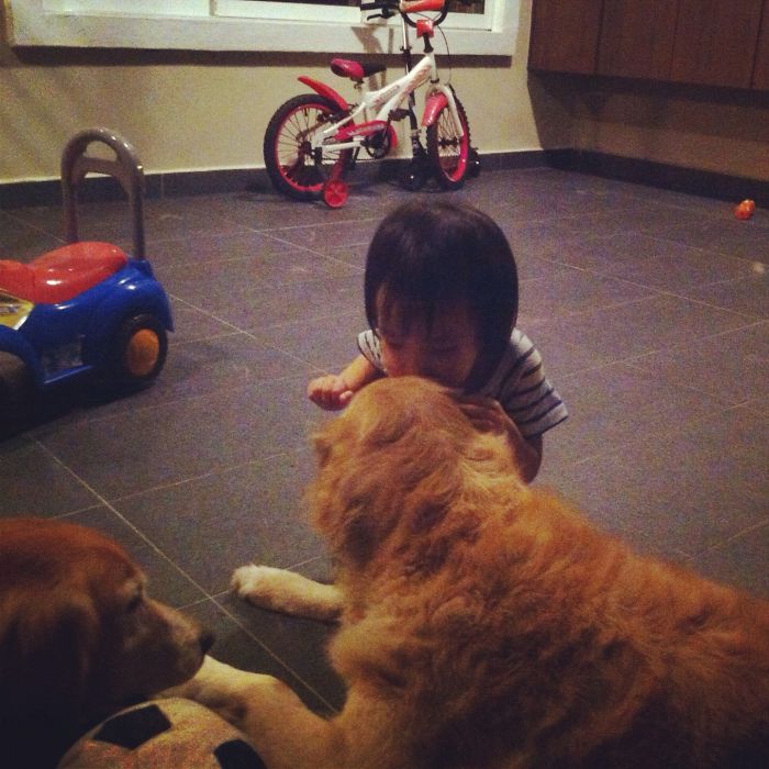 Big Woofy Kiss For Yoyo From Madison