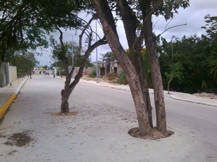 Playa Del Carmen Mexico