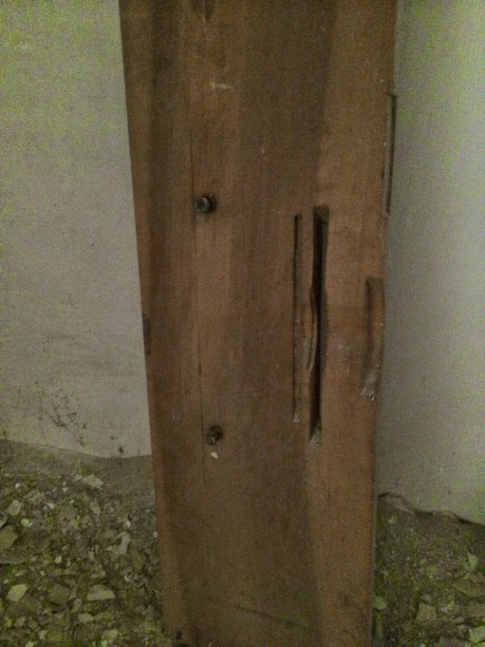 Let Me Rest A Couple Of Years