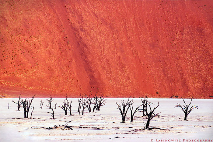 Dooie Vlei, Namibia