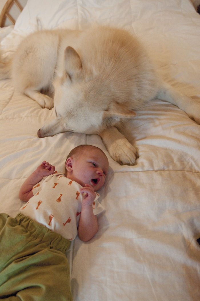 Pearly And The Worm, Day Four