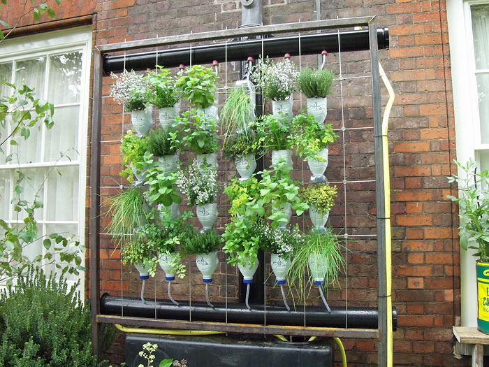 Vertical Garden