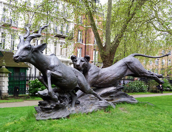 Lioness Chasing A Lesser Kudu - London