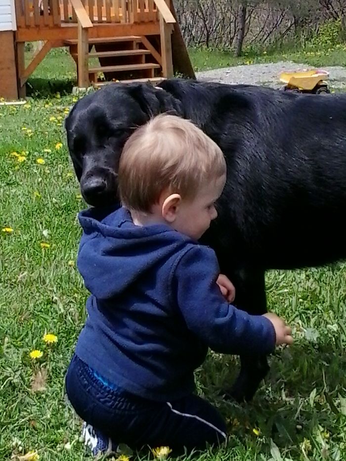 My 1 Yr Old Baby Boy With Our Lab Bella (1yr) Shes Giving Him A Hug :)