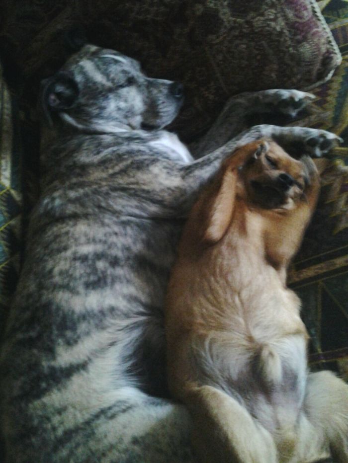 "mommmm, She's Touching Me!"