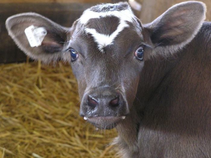 This Beautiful Girl's Name Is "sweetheart"