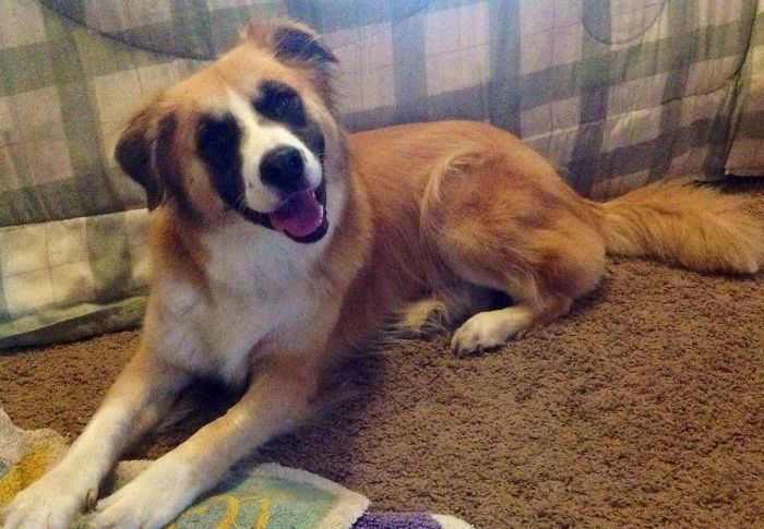 Tobey From Sunrise, Fl