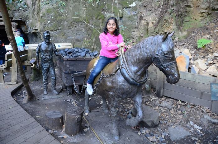 Pit Pony Katoomba Australia Coal Mine