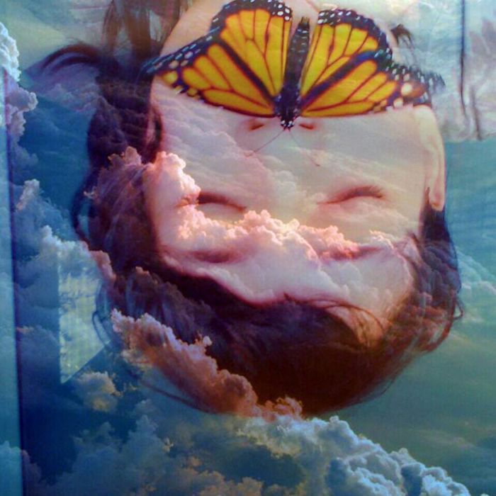 Rise From Tiger Lily