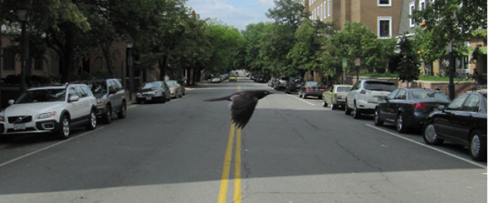 In The Middle Of The Street.