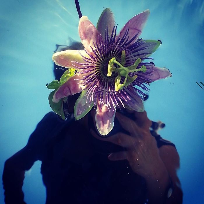 Flower By Tiger Lily