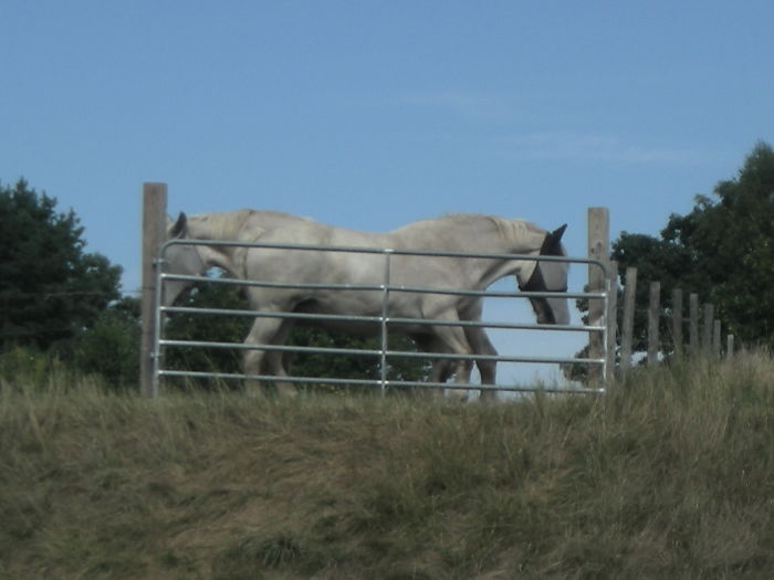 Right, Left Or Whatever.