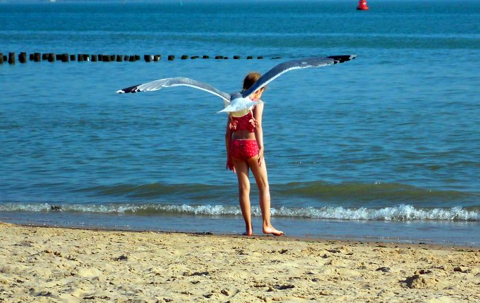 Angel Of The North Sea