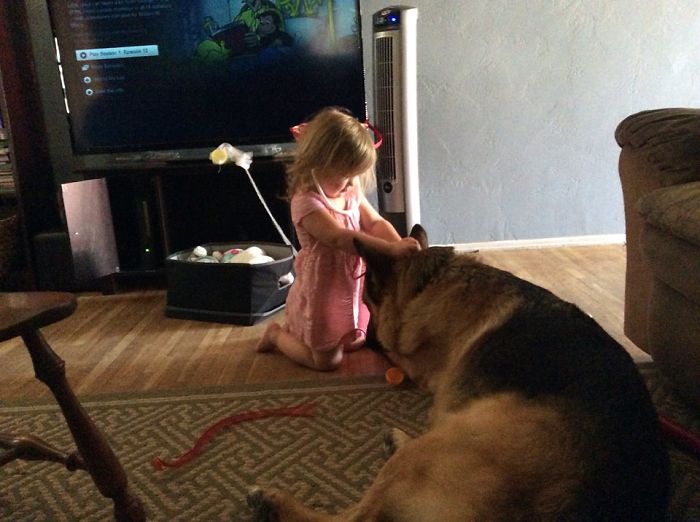 Dr. Phoebe Checking Charlie