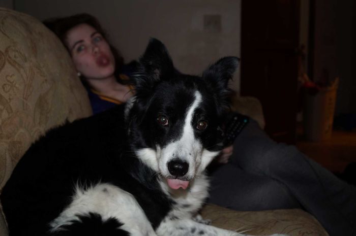 Smile For The Camera