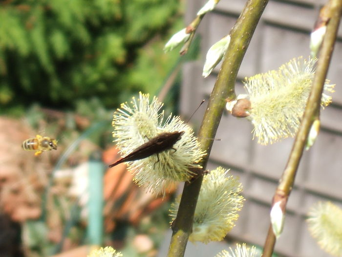 Guess What Happens Next ...