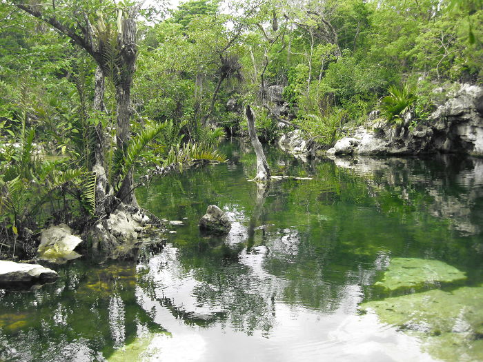 Cenote - Outside Playa Del Carmen, Mx