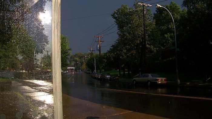 Watching The Calm During The Storm.