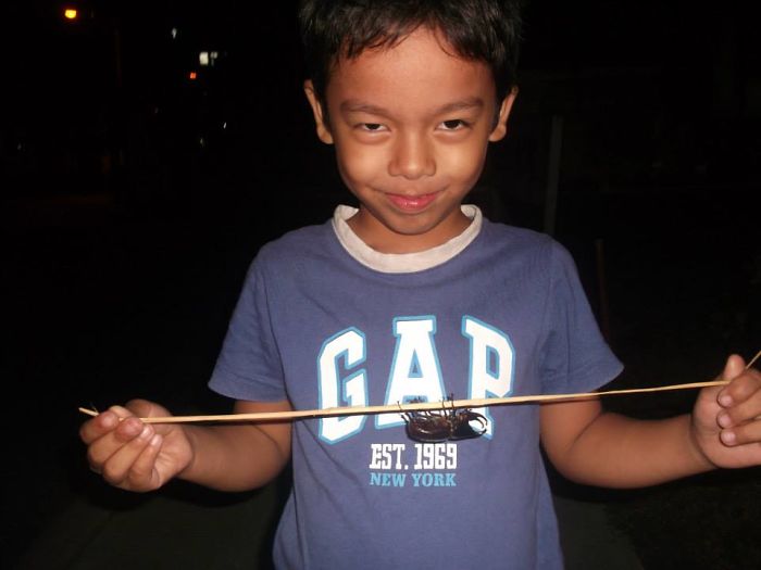 The Beetle And The Beetle Look (philippines)