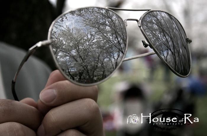 Reflections by Ralena Gordon 