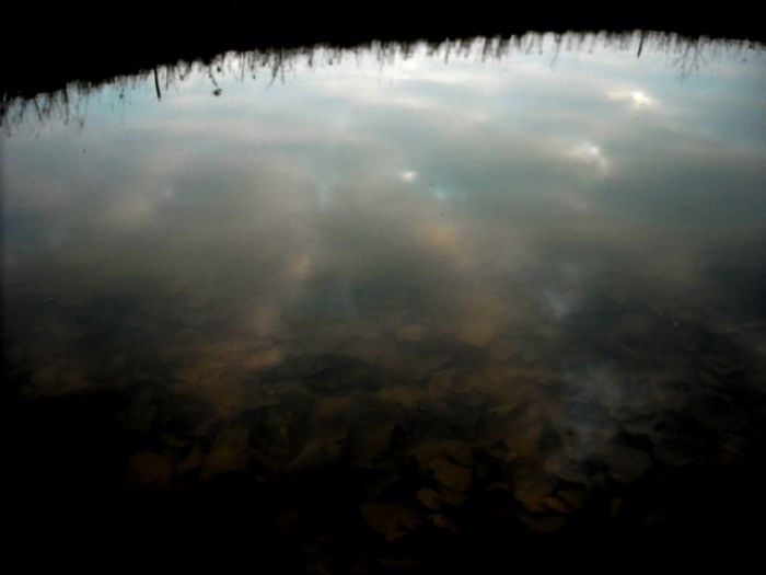 Sky In The Pond Full Of Autumn Leaves