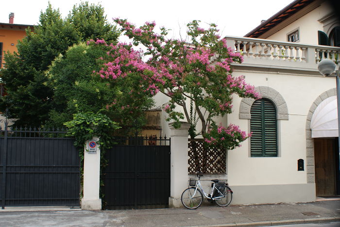 Any Place In Countryside In Italy