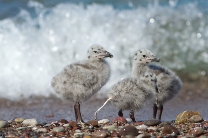 In Your General Direction...