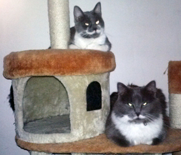 My Paisley And Dori.