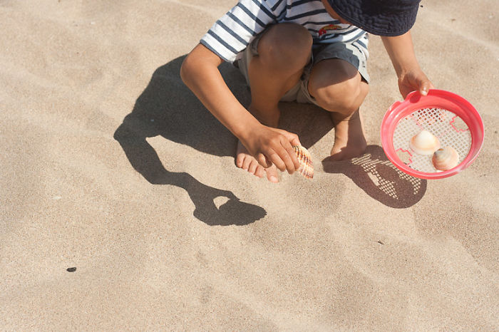 France, Collecting Shells