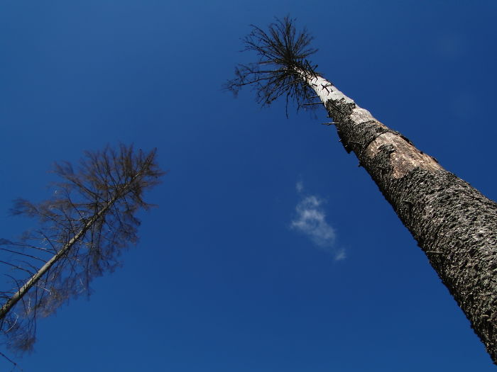 1. The Tatra Mountains, Poland