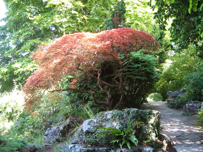 Preston Park & Rock Garden In Brighton
