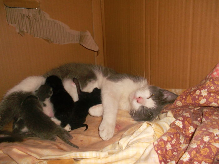 Being A Mamma: Happiness!!